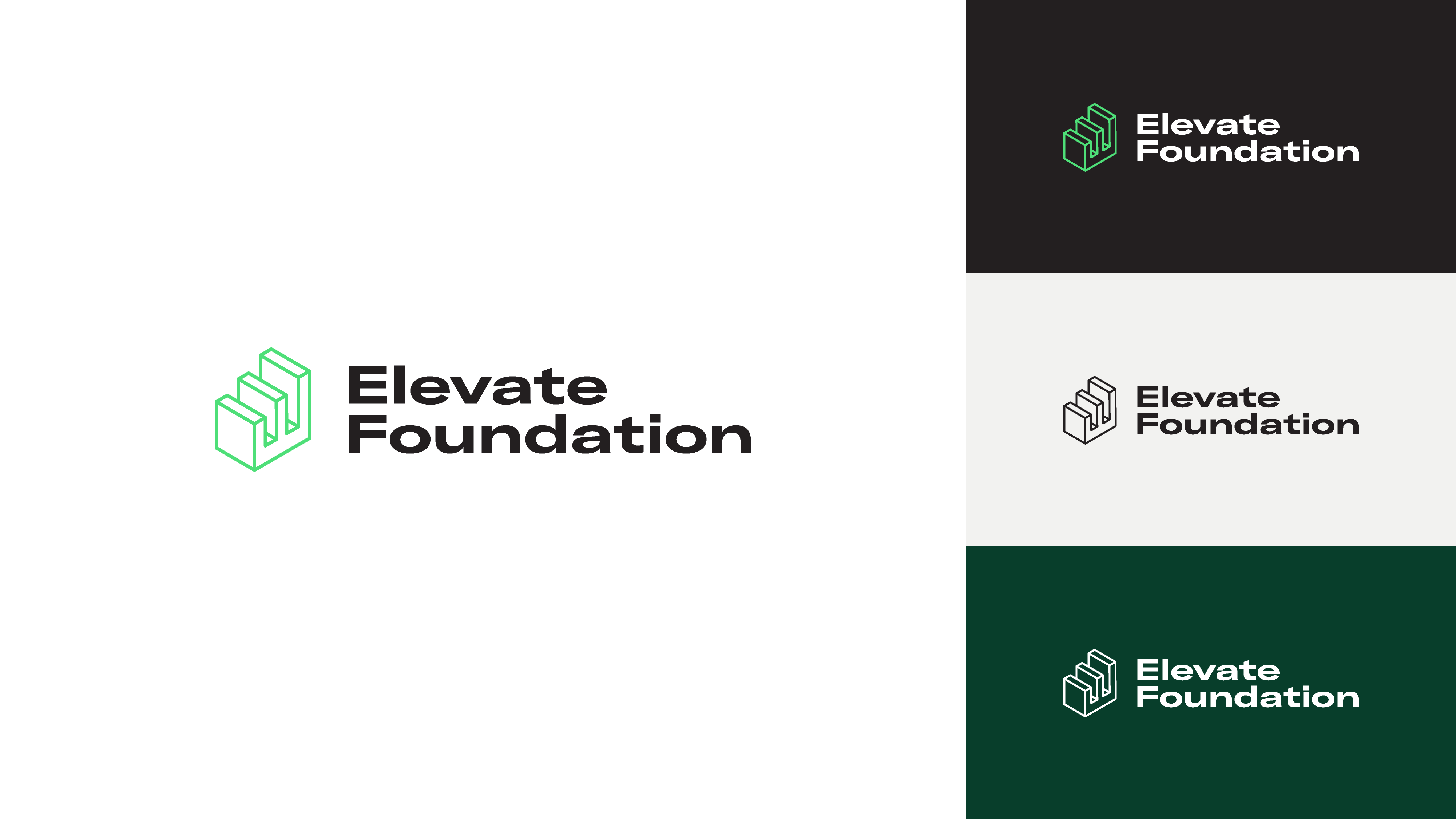 Elevate Foundation logo lockup variants